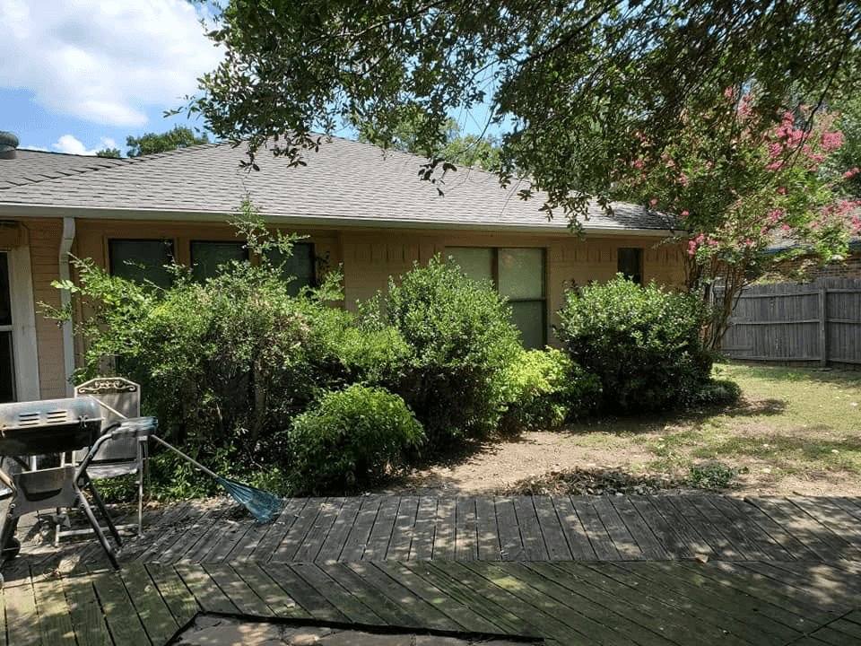 Front Lawn before
