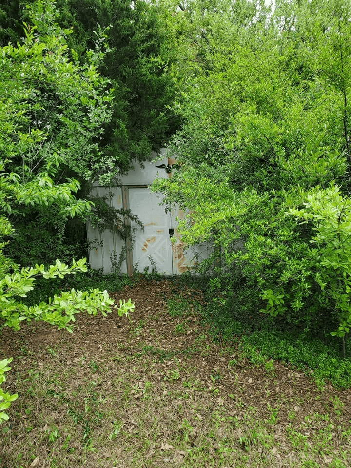 Leaf Removal & Seasonal Cleanup